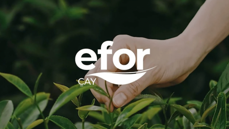 EFOR’un Ortağı İhale Kazandı