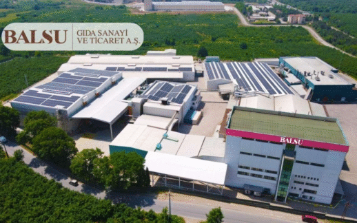 Balsu’dan bedelsiz pay devri