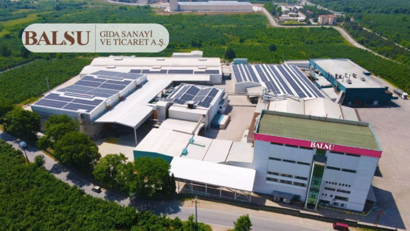 Balsu’dan bedelsiz pay devri