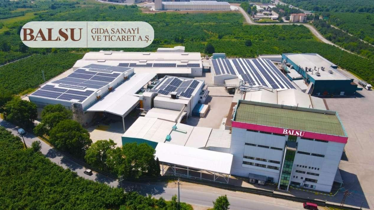 Balsu’dan bedelsiz pay devri