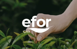 EFOR, 1 milyon adet pay geri aldı