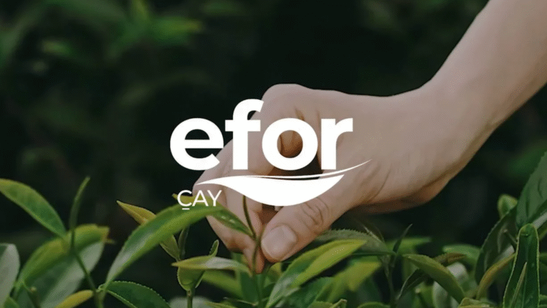 EFOR, 1 milyon adet pay geri aldı