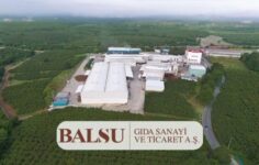 Balsu’dan İddialara Yanıt