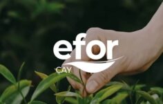 Efor’dan Maden Ruhsat Gelişmesi