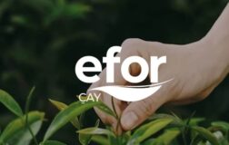 Efor’dan Maden Ruhsat Gelişmesi