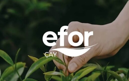 Efor’dan Maden Ruhsat Gelişmesi