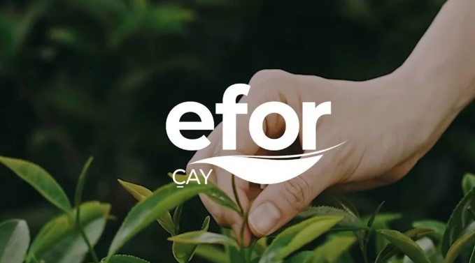 Efor’dan Maden Ruhsat Gelişmesi