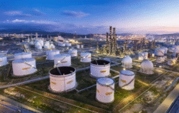 PETKM’de görünüm “sınırlı olumlu”