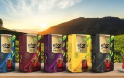 Efor Yatırıma Ön Tahsis