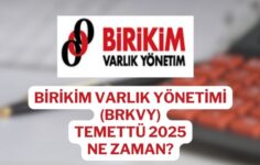Birikim Varlık Devir Tamamladı