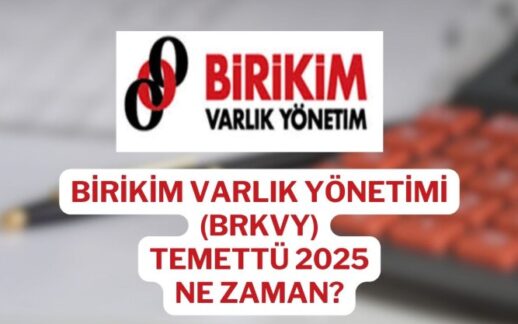 BRKVY’den Varlık Alımı İhalesi Kazandı