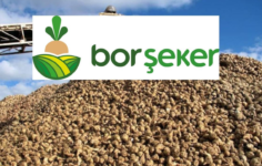 Bor Şeker, Adapazarı Kotasıyla Üretim Gücünü İkiye Katlıyor