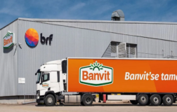 Banvit’e TMSF denetim kayyımı olarak atandı