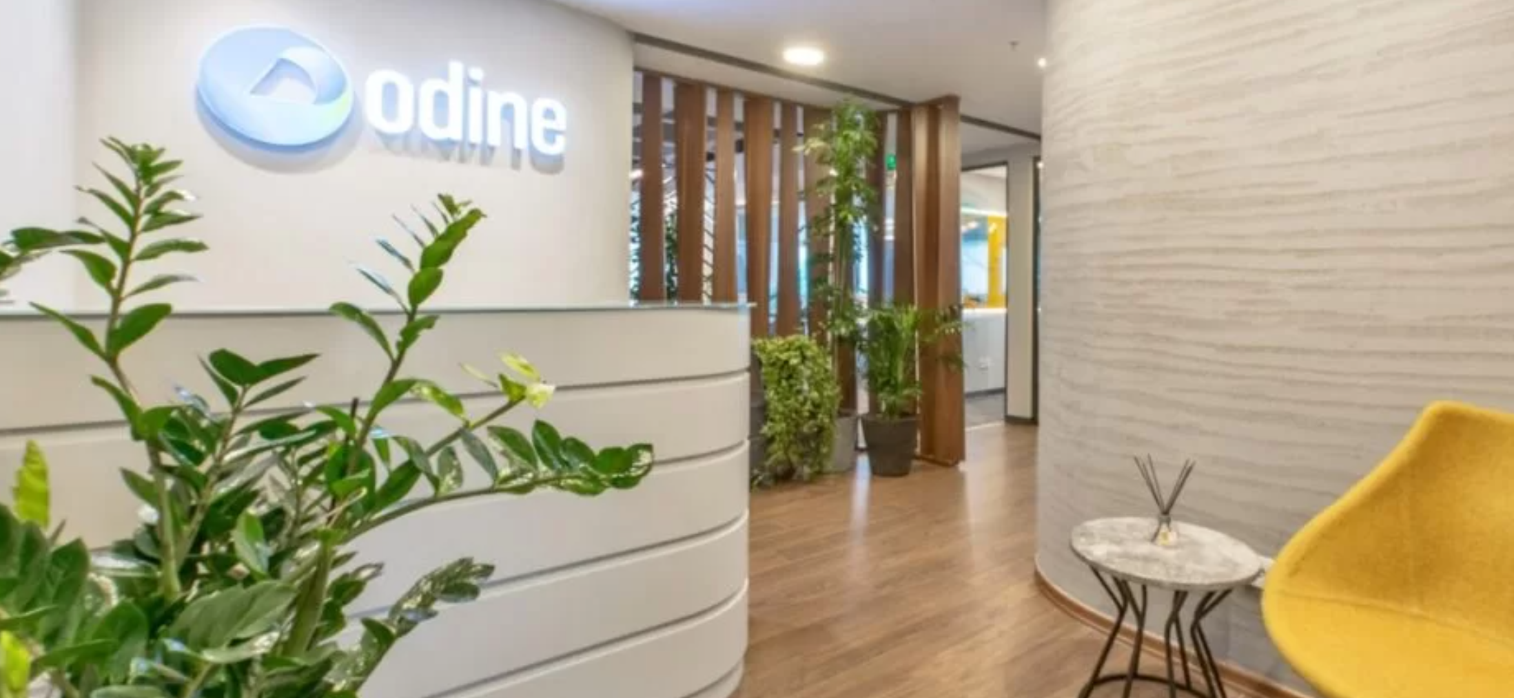 Odine’den Dev Bedelsiz Artırımı
