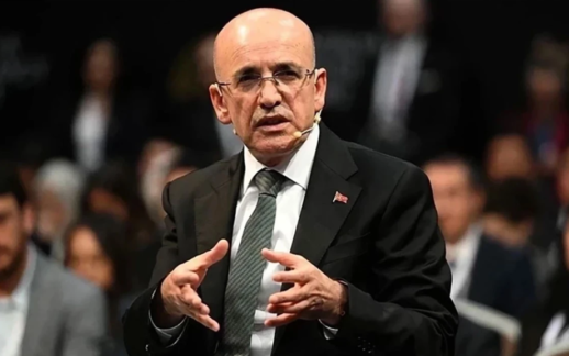 Şimşek: İstihdamı Destekliyoruz