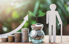 Destek Portföy Finansal Sonuç Açıklaması