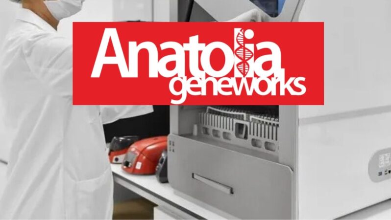 Angen 2026 İkinci Çeyrek Finansal Sonuçları