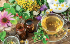 Tıbbi Çaylara Kapsamlı Düzenleme Geldi