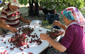 SUMAS’tan Temettü Kararı
