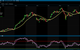 Bist 100’de Kritik Seviyeler