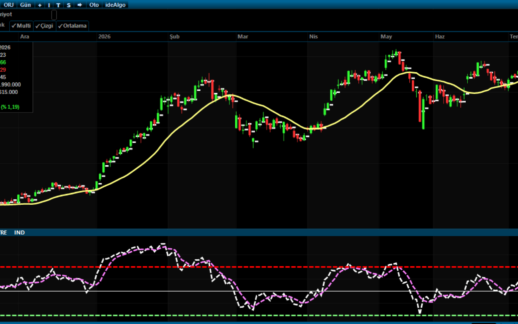 Bist 100’de Kritik Seviyeler