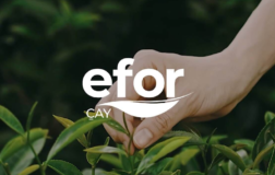 Efor Yatırım’dan Genel Müdür Ataması