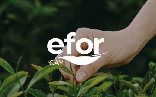 Efor Yatırım’dan Genel Müdür Ataması