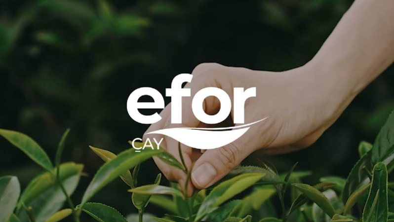 Efor Yatırım’dan Genel Müdür Ataması