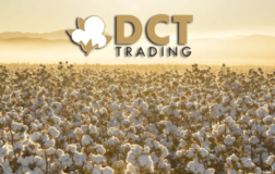 DCTTR’dan Sezonluk Ürün Alımları Başladı