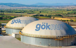 Göknur Gıda Kar Dağıtım Kararı Aldı