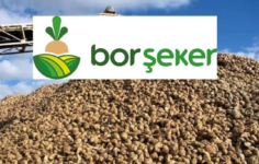 Borsk Pay Geri Alımı Gerçekleştirdi