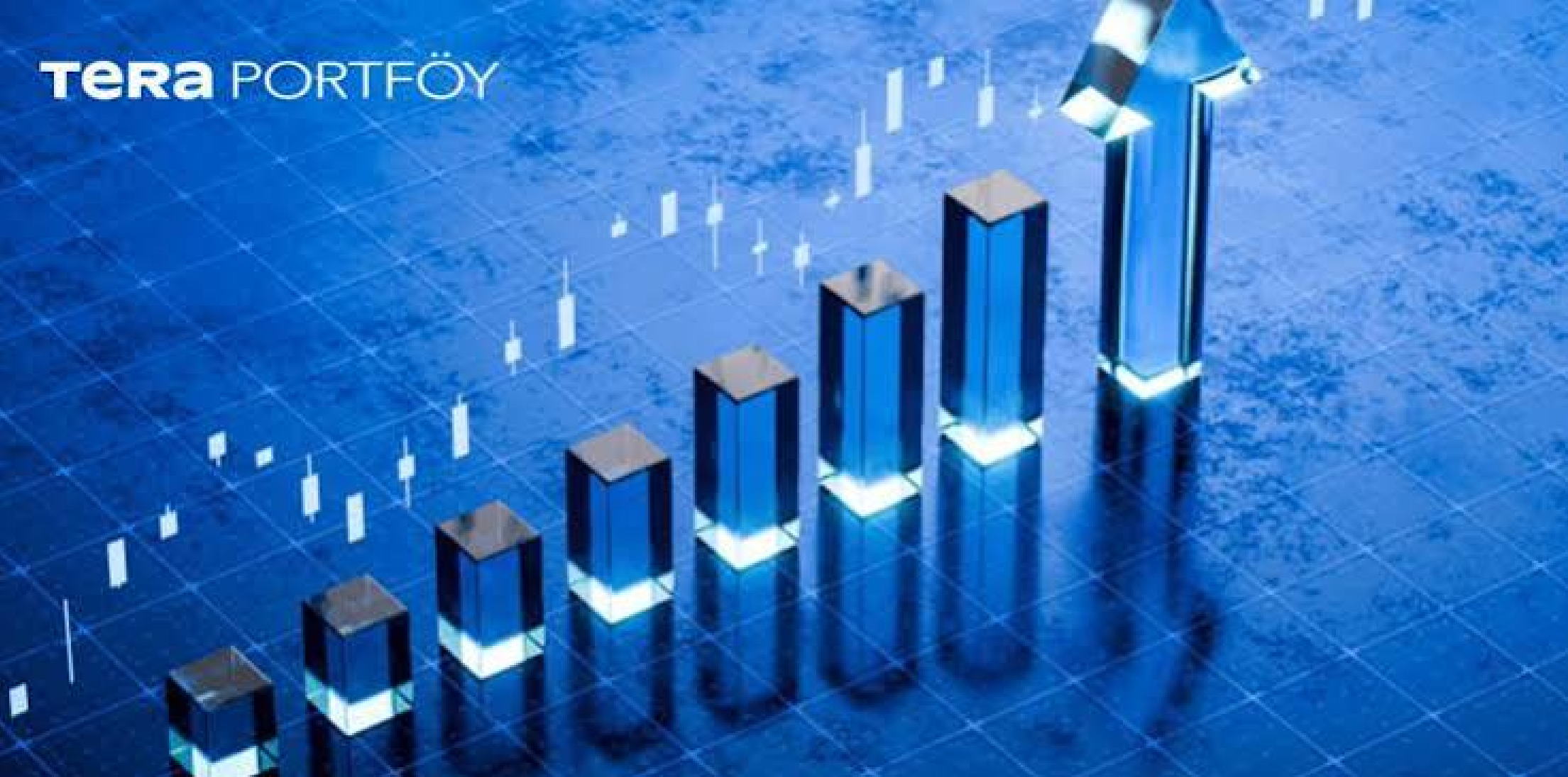 Tera Portföy’den Dstkf ve Manas Alımları