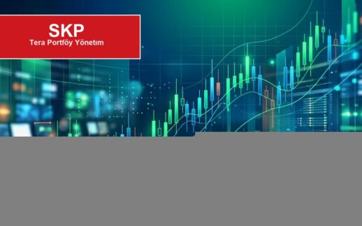 Tera Portföy 2026 İlk Yarı Sonuçları
