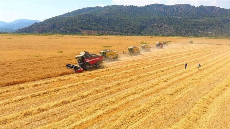 Küresel Tarım Fiyatlarında Üç Yıllık Zirve