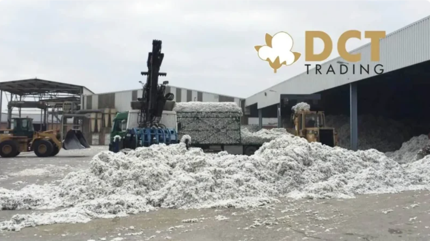 DCTTR’dan Kritik Pamuk İhracat Anlaşması