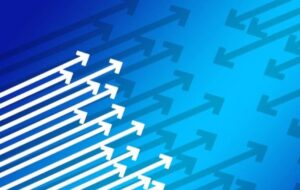 BVSAN’dan €1.06 Milyonluk Sözleşme
