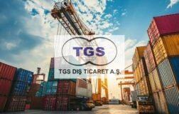 TGS DIŞ TİCARET A.Ş.: Özel Durum Açıklaması (Genel)