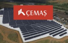 NIBAS 2026 İlk Yarı Finansal Sonuçları