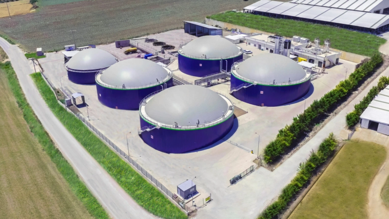 Ecogreen Enerji’den İlk Yarıda Kârda Gerileme