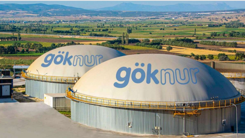 GOKNR Hisselerinde Önemli Pay Devri