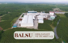 Pusula’dan BALSU Paylarında Büyük Satış