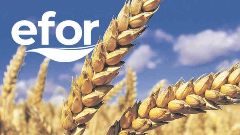 Efor Yatırım’da Görev Değişimi
