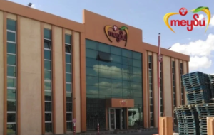 Türk İlaç, DMO ihalesini kazandı