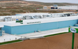 PNSUT: Pınar Süt’ten 2026 Yılı İlk Yarı Bilançosu