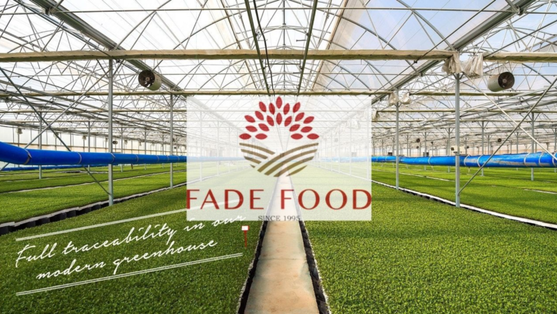 Fade Gıda 2026 İlk Yarı Bilançosu