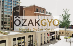 OZKGY 2026 İlk Yarı Finansal Sonuçları