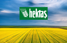 Hektaş’tan 2026 Yılı İlk Yarı Bilançosu