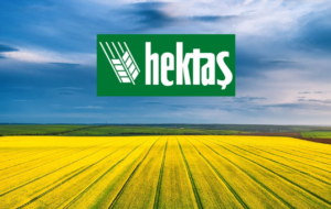 Datagate’ten Yılın İkinci Çeyreğinde Kârlı Bilanço