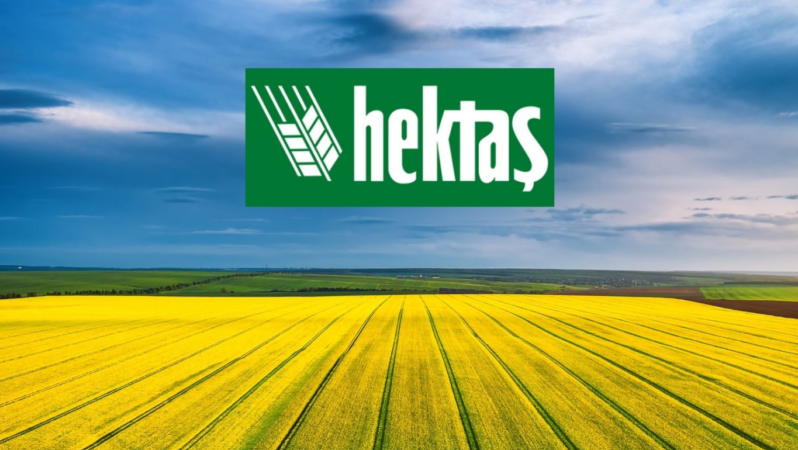 Hektaş’tan 2026 Yılı İlk Yarı Bilançosu