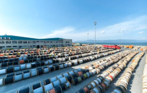 LILAK: Lila Kağıt 2026 İkinci Çeyrek Sonuçları